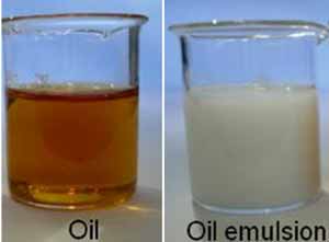 Emulsion Emulsion